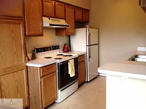519 Red Cedar Blvd, Williamston, MI 48895 photo 6