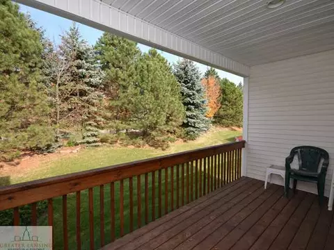 1228 Calumet, Dewitt, MI 48820 photo 14