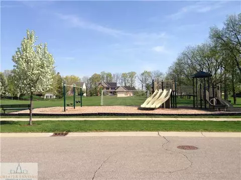11732 Schavey Rd, Dewitt, MI 48820 photo 21