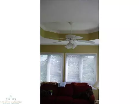 11732 Schavey Rd, Dewitt, MI 48820 photo 11