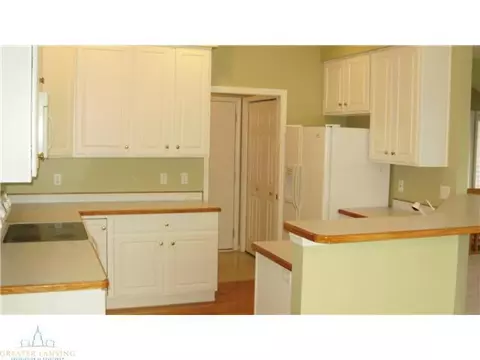11732 Schavey Rd, Dewitt, MI 48820 photo 7