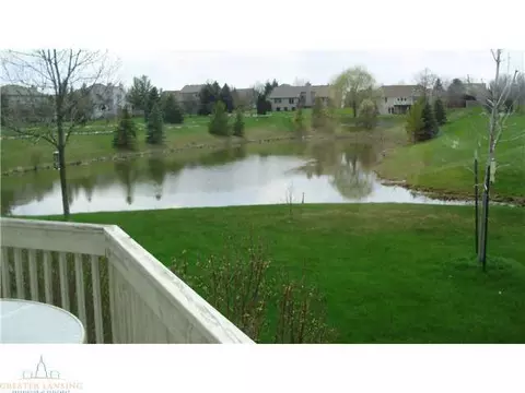 11732 Schavey Rd, Dewitt, MI 48820 photo 9