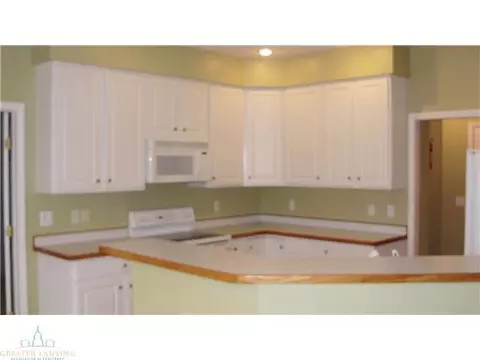 11732 Schavey Rd, Dewitt, MI 48820 photo 6