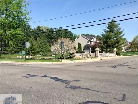 11732 Schavey Rd, Dewitt, MI 48820 photo 23