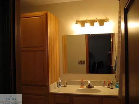 738 Tyrrell Rd, Bancroft, MI 48414 photo 12