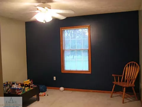 738 Tyrrell Rd, Bancroft, MI 48414 photo 14