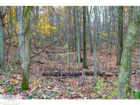 3841 Beeman Rd, Williamston, MI 48895 photo 20