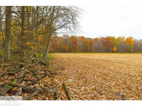 3841 Beeman Rd, Williamston, MI 48895 photo 22