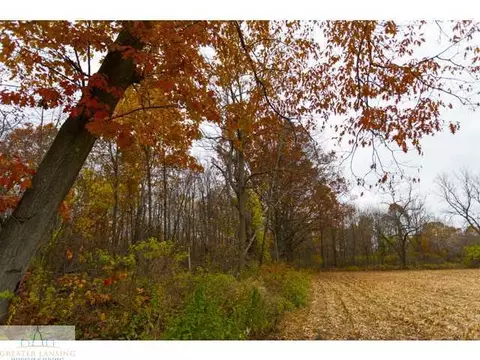3841 Beeman Rd, Williamston, MI 48895 photo 7