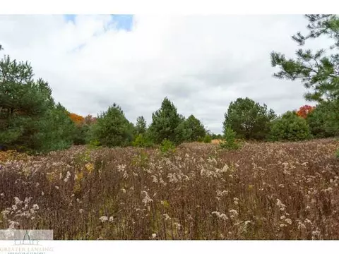 3841 Beeman Rd, Williamston, MI 48895 photo 16