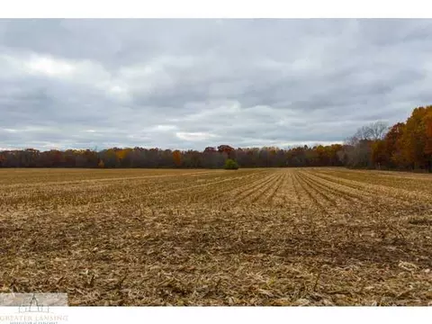 3841 Beeman Rd, Williamston, MI 48895 photo 24