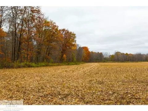 3841 Beeman Rd, Williamston, MI 48895 photo 6