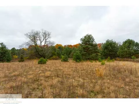 3841 Beeman Rd, Williamston, MI 48895 photo 15