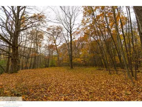 3841 Beeman Rd, Williamston, MI 48895 photo 4