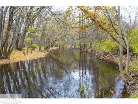 3841 Beeman Rd, Williamston, MI 48895 photo 17