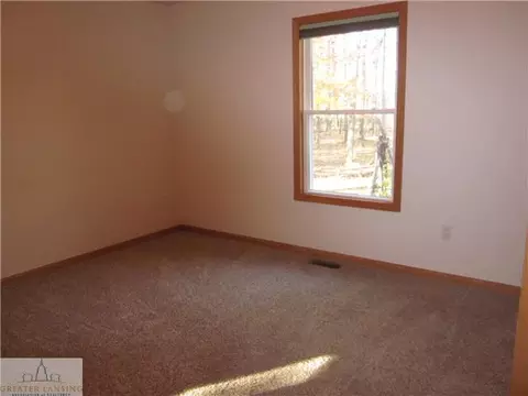 12505 S Wright Rd, Eagle, MI 48822 photo 8