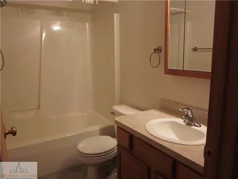 12505 S Wright Rd, Eagle, MI 48822 photo 11