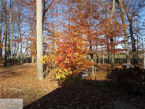 12505 S Wright Rd, Eagle, MI 48822 photo 18