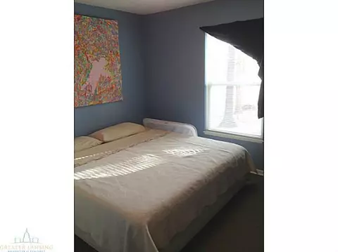 12953 Menominee Dr, Dewitt, MI 48820 photo 12