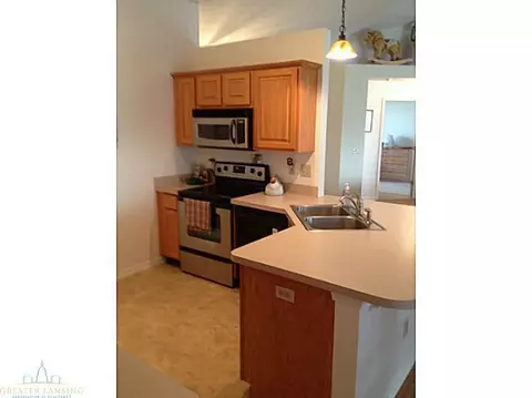 12953 Menominee Dr, Dewitt, MI 48820 photo 8