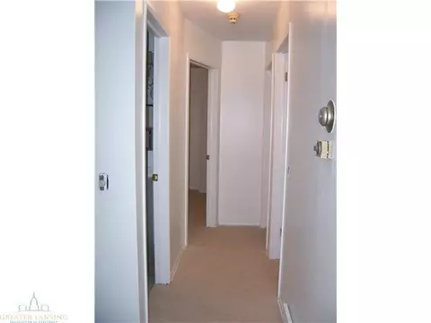 3101 Risdale Ave, Lansing, MI 48911 photo 20