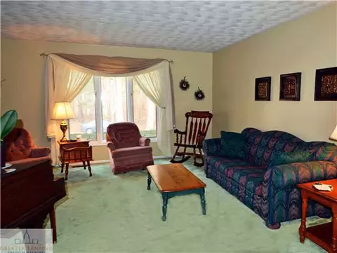 12325 Pine Ridge Dr, Perry, MI 48872 photo 4