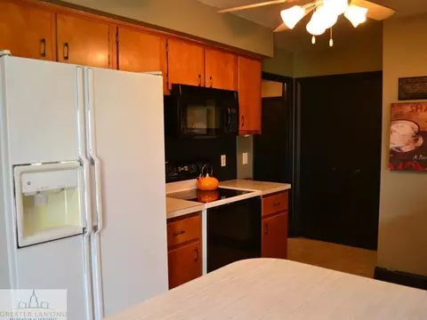4525 Barton Rd, Williamston, MI 48895 photo 6