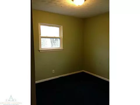 1317 W Dill, Dewitt, MI 48820 photo 13