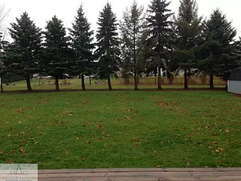 1317 W Dill, Dewitt, MI 48820 photo 3
