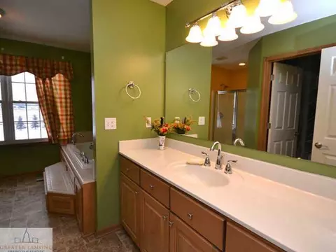 14160 S Wright Rd, Eagle, MI 48822 photo 16