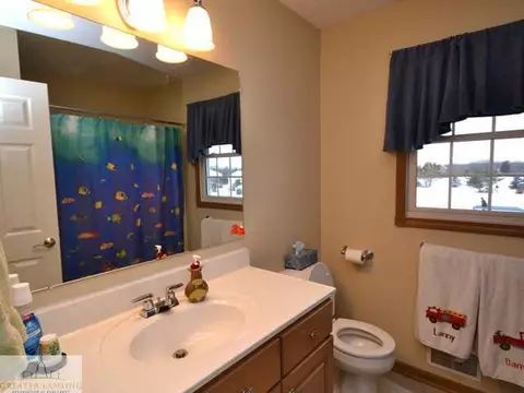 14160 S Wright Rd, Eagle, MI 48822 photo 19