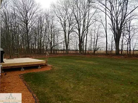 4495 Lavender Ln, Dewitt, MI 48820 photo 25