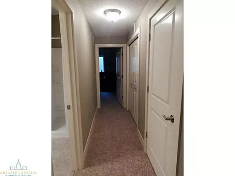 4495 Lavender Ln, Dewitt, MI 48820 photo 19