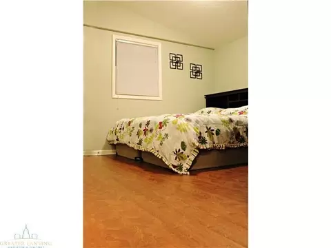 615 Cherry, Dewitt, MI 48820 photo 8