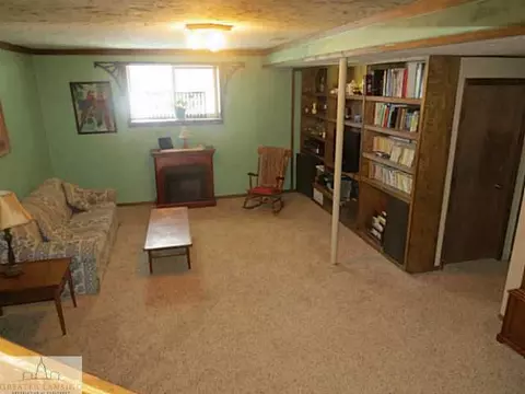 1229 Redpole, Dewitt, MI 48820 photo 12