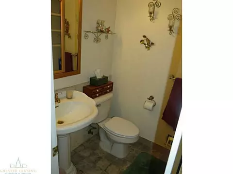 1229 Redpole, Dewitt, MI 48820 photo 10