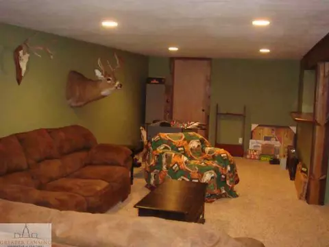 7465 W Maple Rapids Rd St, Saint Johns, MI 48879 photo 19