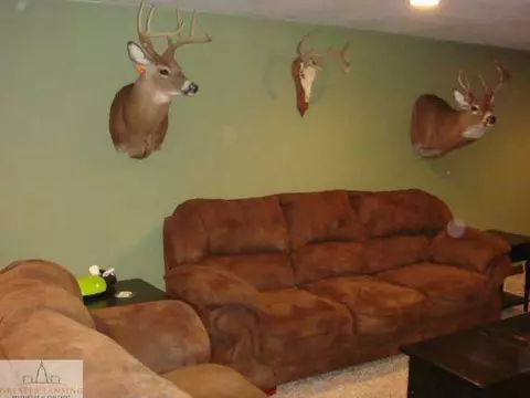 7465 W Maple Rapids Rd St, Saint Johns, MI 48879 photo 23