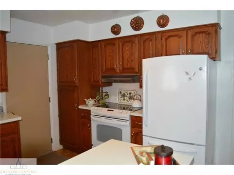 4163 E Pratt Rd St, Saint Johns, MI 48879 photo 12