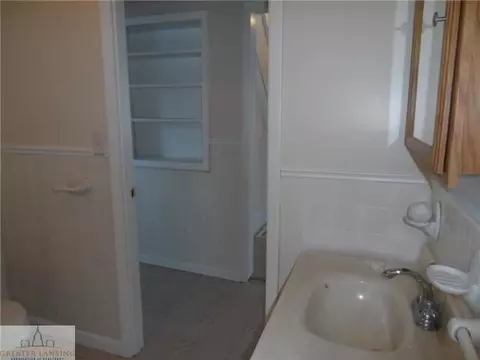 14229 Center St, Eagle, MI 48822 photo 9