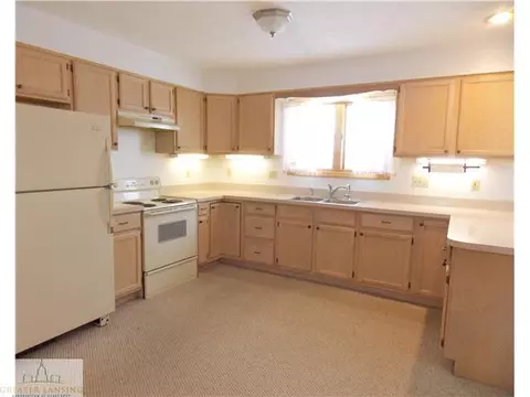 10403 W Chadwick Rd, Eagle, MI 48822 photo 5