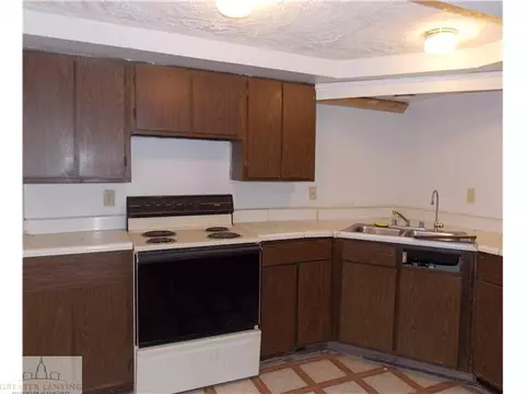 10403 W Chadwick Rd, Eagle, MI 48822 photo 12
