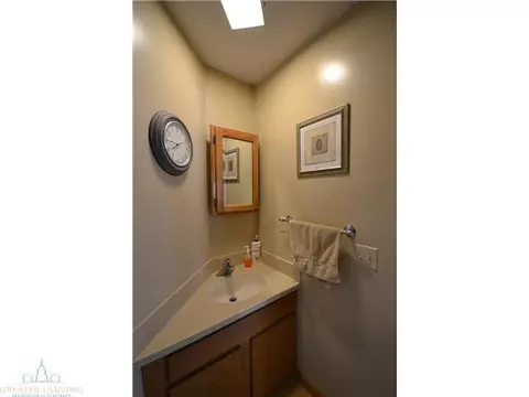 175 Gale, Mason, MI 48854 photo 10