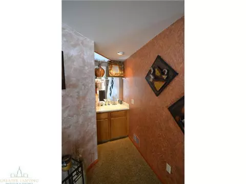 175 Gale, Mason, MI 48854 photo 16