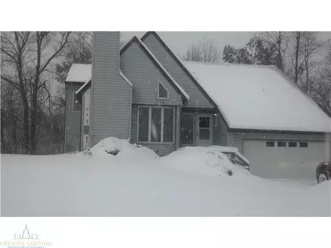8750 Cox, Bellevue, MI 49021 photo 1