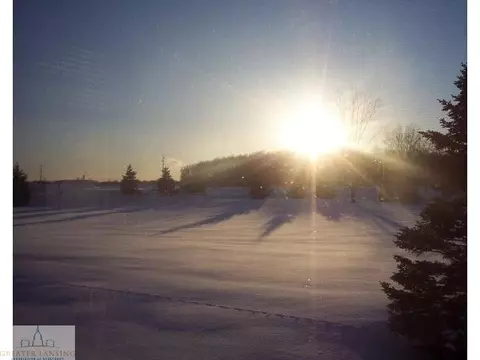 4164 Hamlet, Bath, MI 48808 photo 7