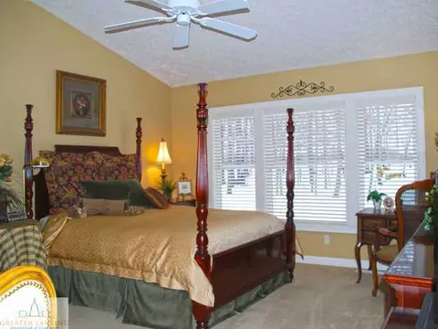 15209 Classic Dr, Bath, MI 48808 photo 7