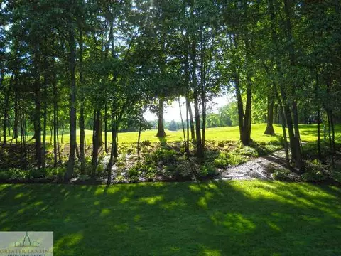 15209 Classic Dr, Bath, MI 48808 photo 18