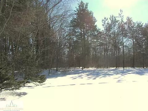 6876 E Clark Rd, Bath, MI 48808 photo 25