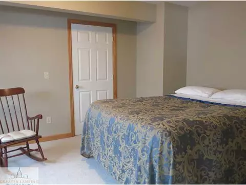 11895 Sara Ann Dr, Dewitt, MI 48820 photo 23